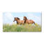 Dyersville 50cm W x 100cm L Glass Peel and Stick Panel