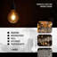 4 W 2700 K LED Smart Bulb
