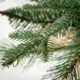 Stroud 24'' Faux Pine Tree in Wicker/Rattan Pot