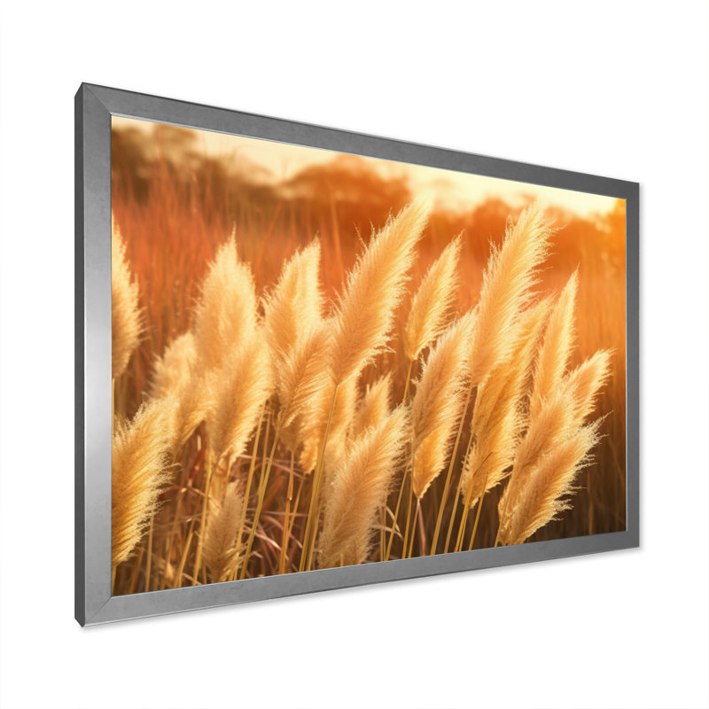 «White Pampas Meadows At Sunset» sur toile, H 12 po x l 20 po x P 1 po, Cadre simple argenté