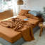 Ensemble de draps 100% lin-112091196-112367936