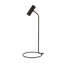 Jarexi Metal Desk Lamp