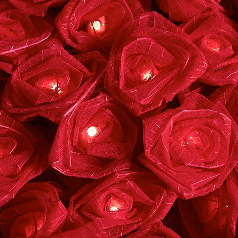 Dov LED Natural Leaf Rose String Light, 30 Lamps - 8 Metre Long