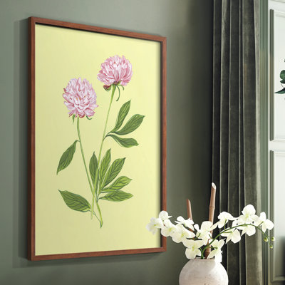 Peonies in Yellow II Framed Print - Solid Wood