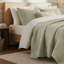 Ensemble de courtepointe 100% coton 3 pièces Botanical Leaves Sage-125545999-125545998