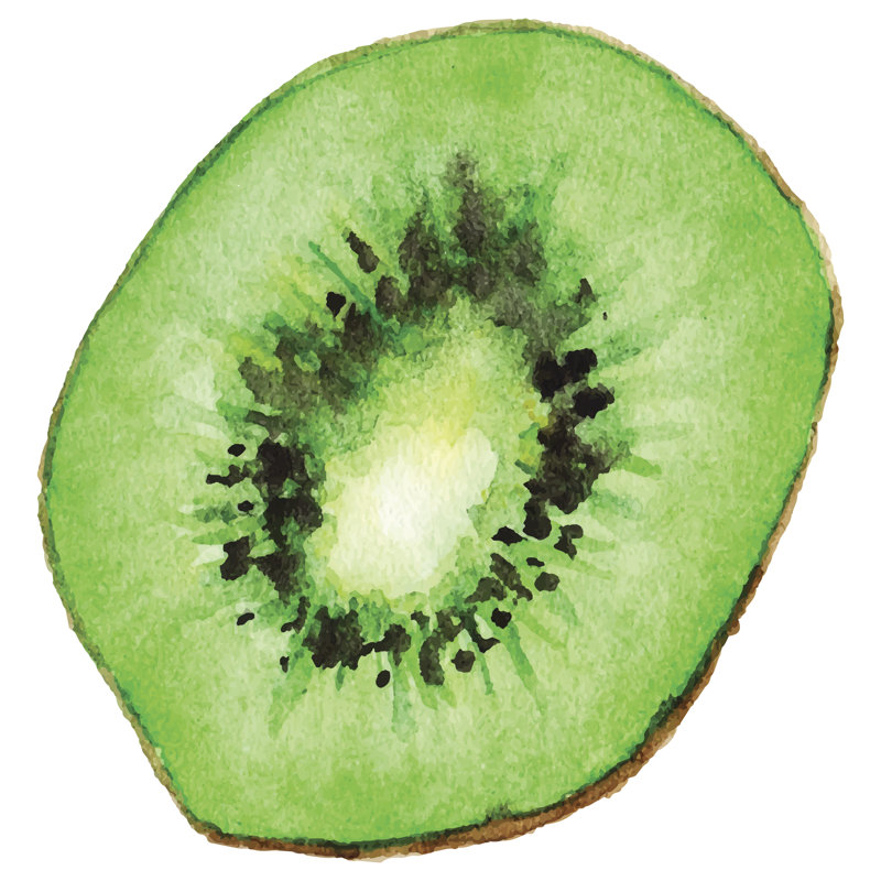 Kiwi Fruit - Wrapped Canvas Painting, 30cm H x 30cm W x 3.8cm D