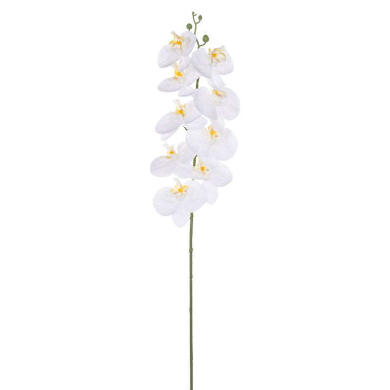 Tige d'orchidée 35 po, Blanc