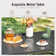 Alyah Rectangular 6 - Person 60'' Long Dining Set with Umbrella