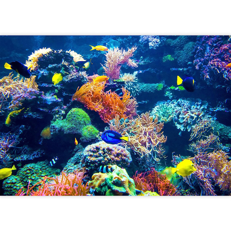 Coral Reef Anemone Fish Tropical Sea Ecosystem 66' L x 96" W Paintable Wall Mural, L 100 po x l 144 po