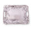 Magnolia Metal Decorative Tray