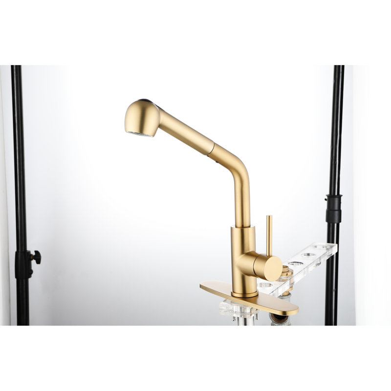 Spot Gold Stainless Steel Utility Sink Faucet With Single Pull-Out And Dual Spray, 360 Rotating Nozzle, Dirt Treatment, Ideal For Water Use Spray Laundry In Stainless, High Simple Flow Temperature