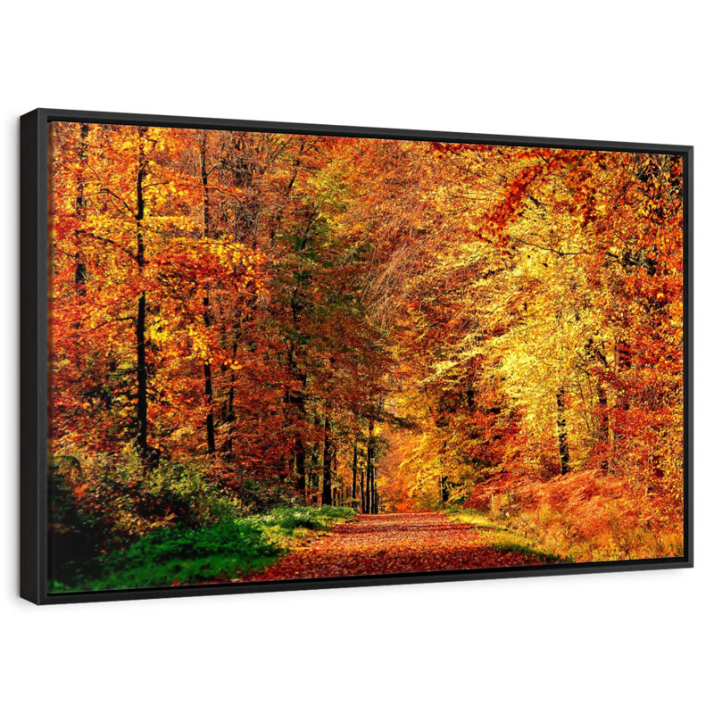 Chemin vers la forêt d'automne, Cadre flottant noir, 40 po x 27 po