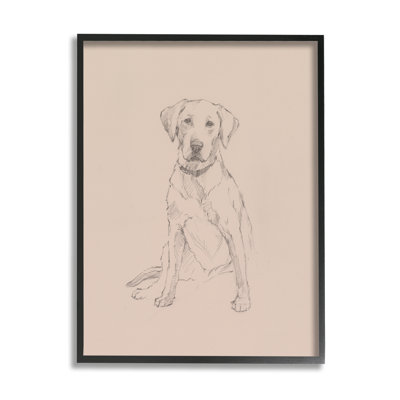 Retriever Animal Portrait - Drawing Print
