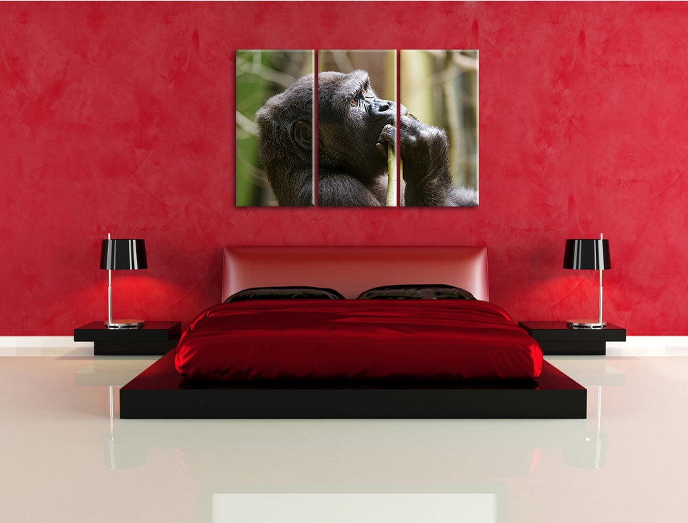 3-tlg. Leinwandbilder-Set Gorilla isst, Fotodruck