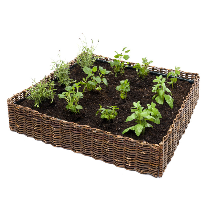 Pot à légumes