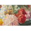 Hand-Knotted High-Quality Green/Brown Area Rug