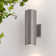 Raley 2- Bulb Outdoor Wall Lantern