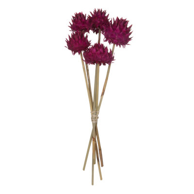 Vickerman 15" Artichoke Head With Reed Stem, Dried Artichoke Arrangement