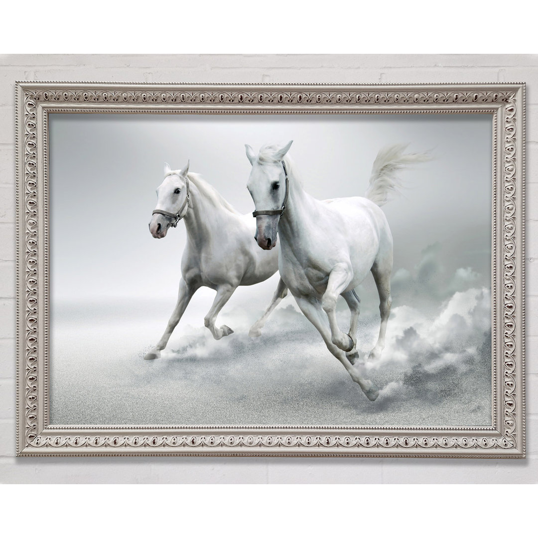 White Duo Horses - Einzelner Bilderrahmen Kunstdrucke