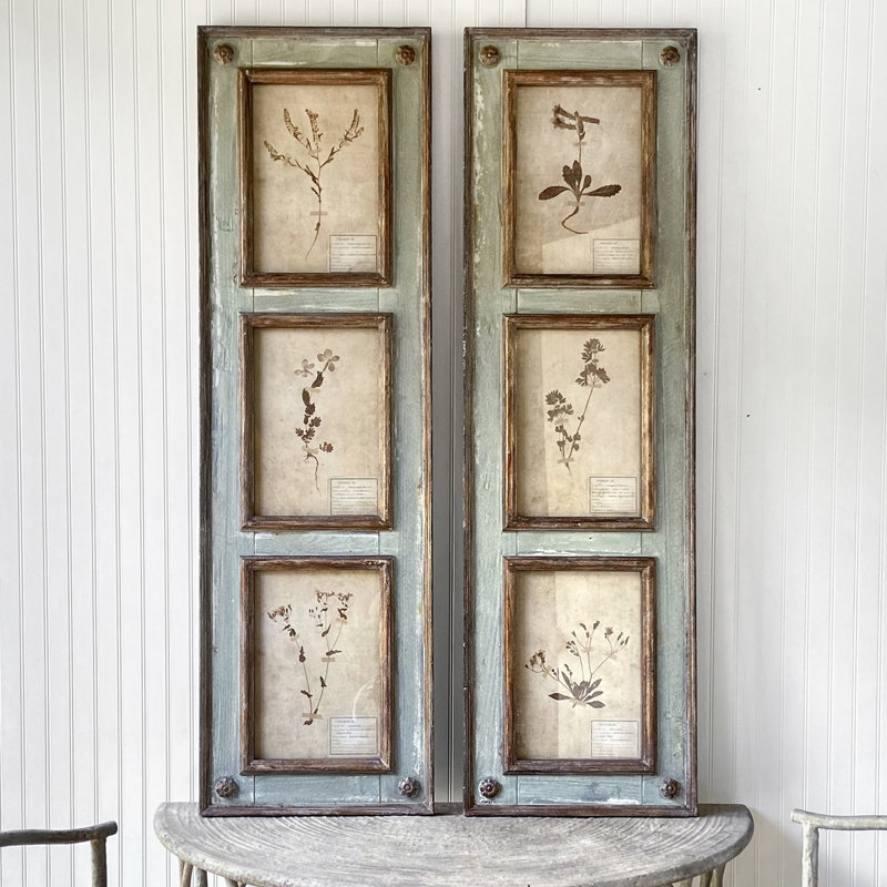 Rustic Botanical Collection Framed Wall Art - Set of 2