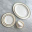 Platinum Edge Bone China Dinner Plate-784577301