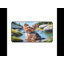 Polyester Desk Pad-572955637