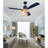 Ceiling Fan with Light Kit-1662170201