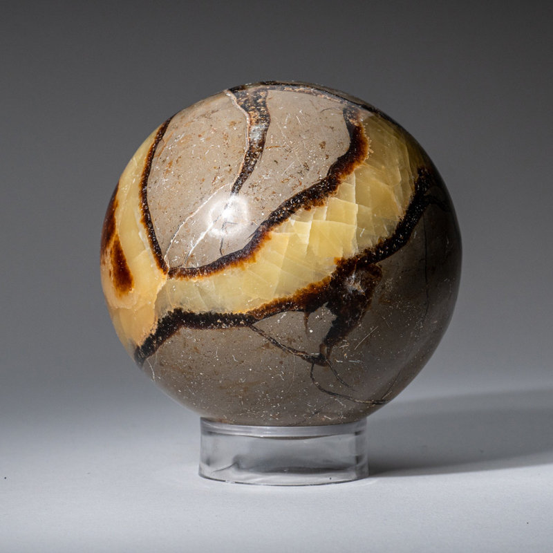 Genuine Polished Septarian (2") Sphere from Madagascar, 3.5" H x 3.5" W x 3.5" D, Gray/Yellow/Brown
