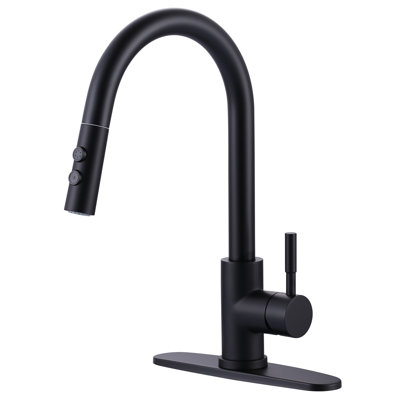 Aleasha Kitchen Faucet