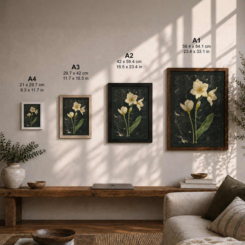 Daffodils on Stone Botanical - Framed Print, Unframed, A4 - 29.7 x 21.0 cm