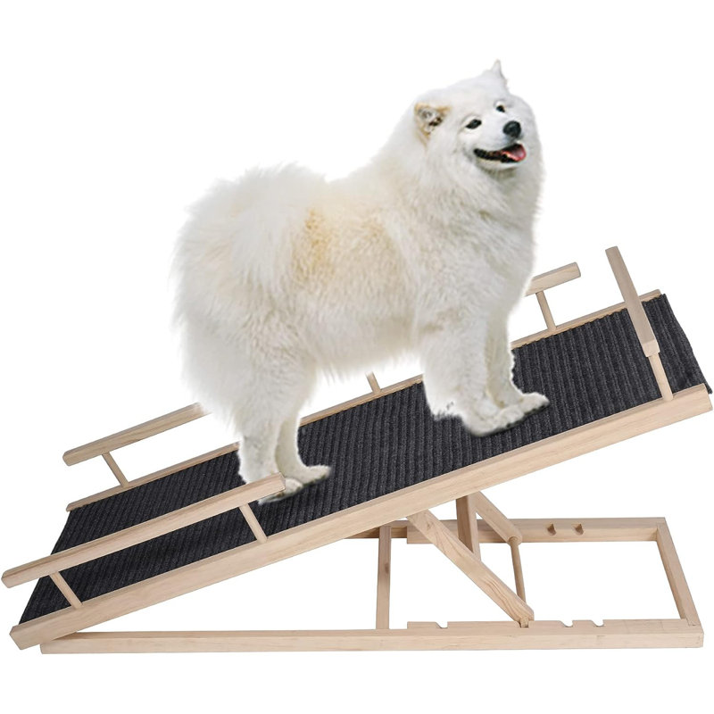 Rampes d'intérieur pour chien réglables avec tapis antidérapant