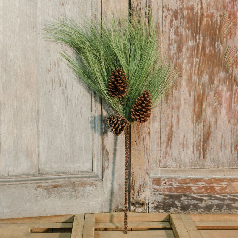 4 plantes
