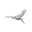 Pterodactyl Magnifying Glass