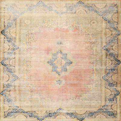 Cociani Oriental Indoor Rug