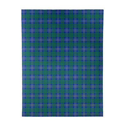 Plaid Indoor Rug