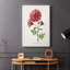 Botanical III - Cavas enveloppés de galerie