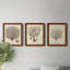 «Blue Braid I», ensemble de 3 peintures sur toile encadrées-2086419058-2086419069