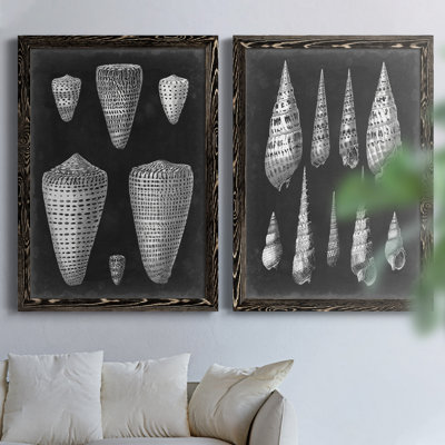 " Alabaster Shells I " 2 Piece Art Color Photography Painting