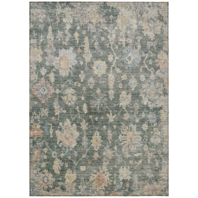Machine Washable Indoor/Outdoor Francky ACN2355 Traditional Rug, Rectangle 5' x 7'6"