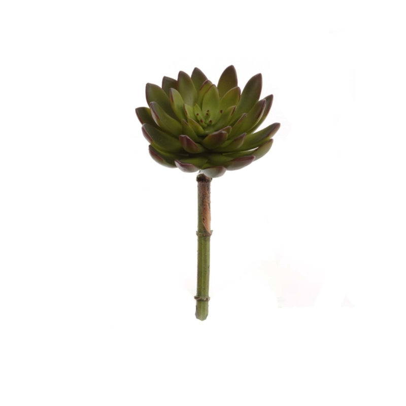 Moreno 9'' Tall Artificial Succulent Plant