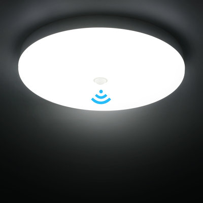 1-Light Flush Mount