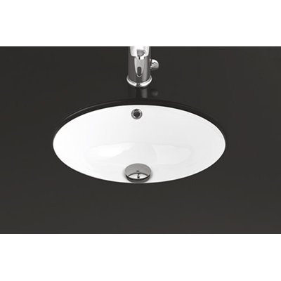 19.1'' L Bathroom Sink