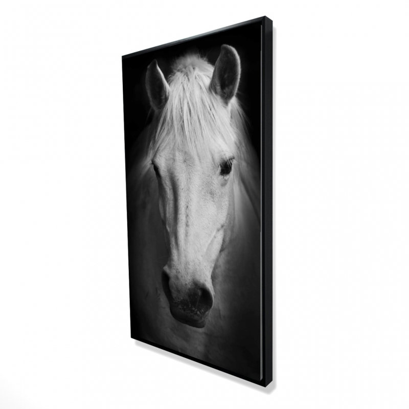 Monochrome Horse Print On Canvas, H 48 po x l 24 po