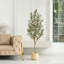 Olive artificielle Adcock avec tronc de bois véritable, plante d'olivier artificielle résistante aux rayons UV-2136049901