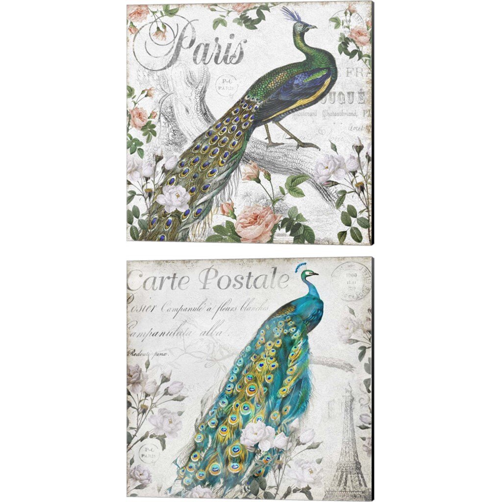 Ophelia And Co Paris Peacock And Peacock Rose By Mary Jane Creative Canvas Art Set Of 2 Wayfair 2927