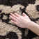 Chanhassen Shag Performance Floral Rug