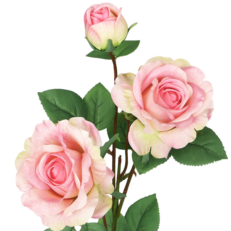 Fleur de sucre en aérosol, Rosé