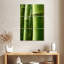 Bois de bambou Harnek-108562798