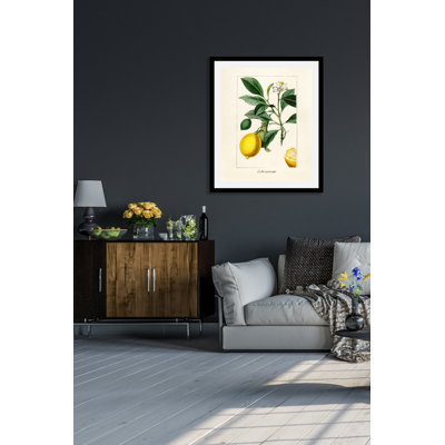 Citronnier - Single Picture Frame Print