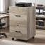 Brandice 15.7'' Wide 2 -Drawer Mobile File Cabinet